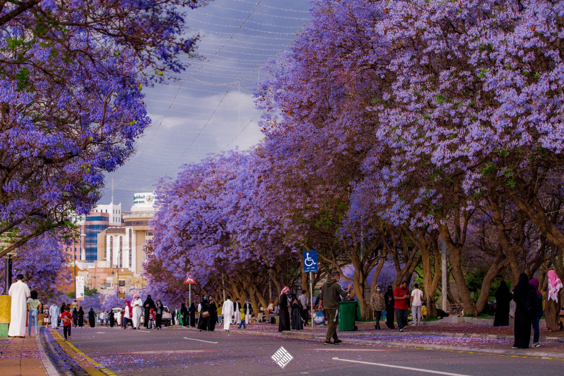 أبها — حدائق وممشى وإطلالات